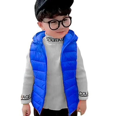 Жилет утеплённый демисезонный для мальчика House style SM675B-G115 синий 1